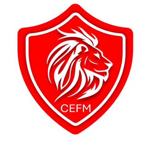 Descripción de la imagen